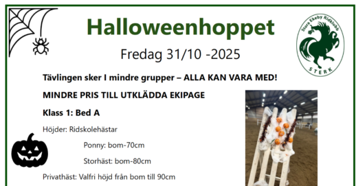 Skärmbild 2025-10-09 200958